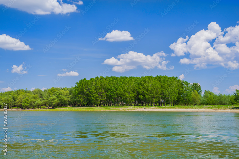 Forest river landscape in a sunny summer day Forest river landscape in a sunny summer day