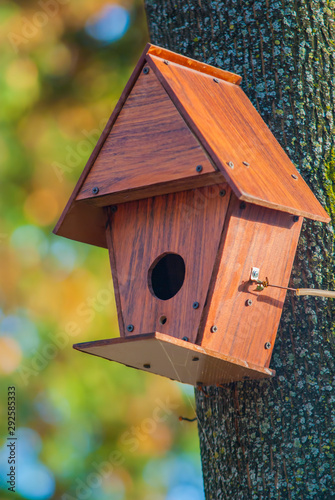 Wooden birds house in the tree