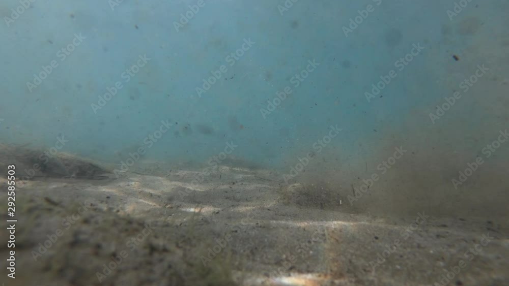 Underwater fine sand particles floating in ocean water Underwater fine sand particles floating in ocean water