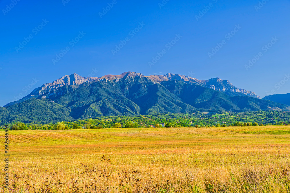 Mountain summer landscape subalpine forest Mountain summer landscape subalpine forest