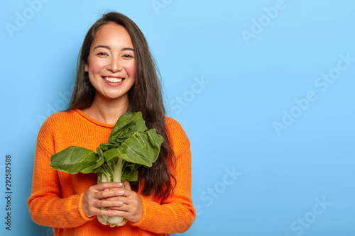 Delighted brunette Korean woman holds green bok choy delivered from farm, wears orange sweater, keeps to healthy nutrition, uses vegetable for making vegetarian salad, poses over blue background