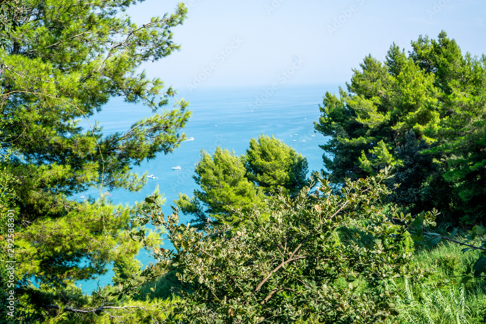 landscape with trees and blue sky landscape with trees and blue sky