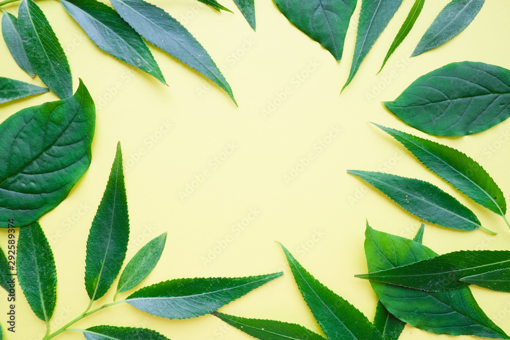 Naklejka premium Frame for text made of fresh green leaves. Composition isolated on yellow background. Top view, flat lay
