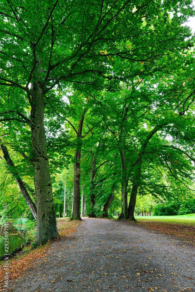 Fototapeta premium Alte und große Laubbäume an Wanderwegen durch den Kurpark Bad Aibling