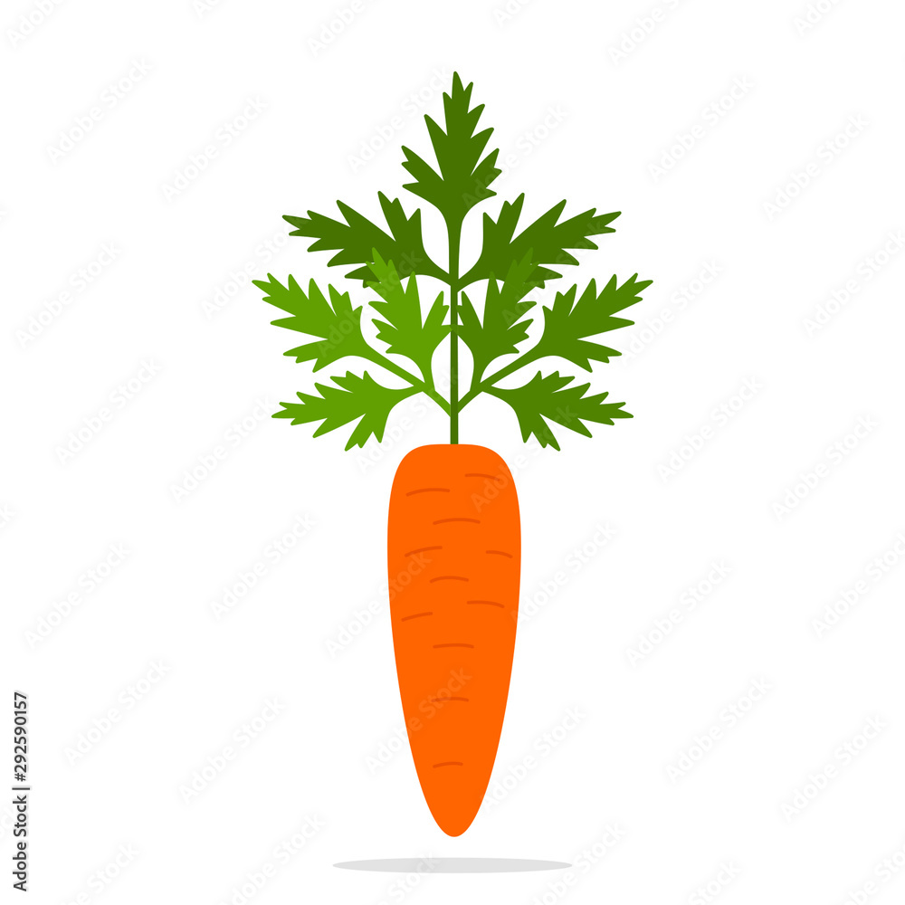 Icon of carrot with herbs in a flat style. vector illustration