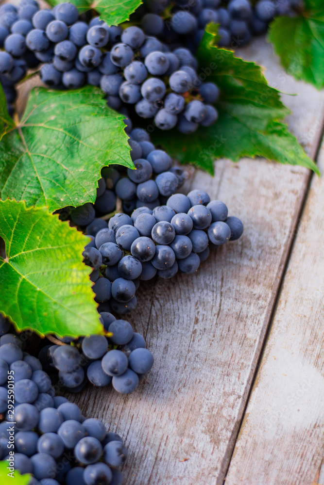 Blue grape with leaves on old wooden background Blue grape with leaves on old wooden background