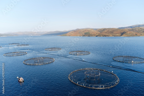 Fish farm salmon sea nets farming at sea Loch Tay Scotland UK photo