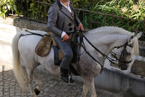 Montar a cavalo, roupa de cavaleiro clássica em cinzento e cavalo branco com tons cinzentos