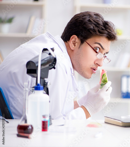 Scientist testing watermelon in lab