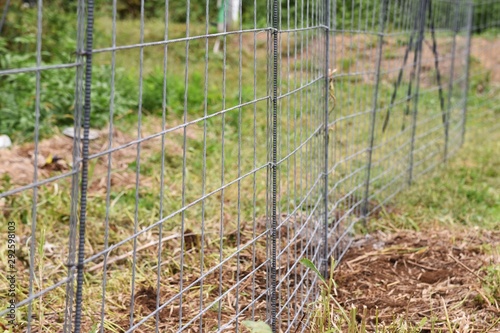  Installation of a fence to prevent wild boar invasion in the vegetable garden.