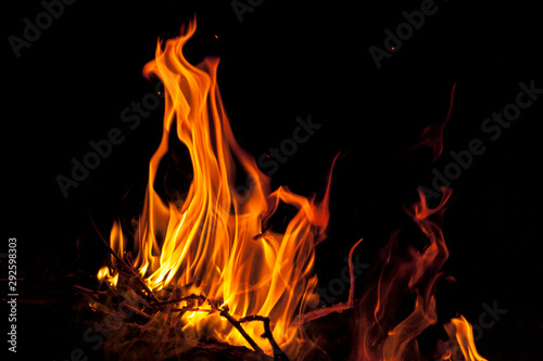 Bonfire, burning coals close-up