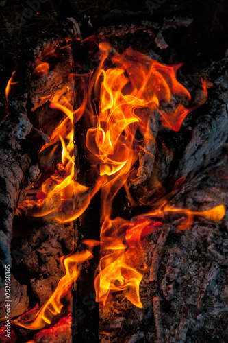 Bonfire, burning coals close-up