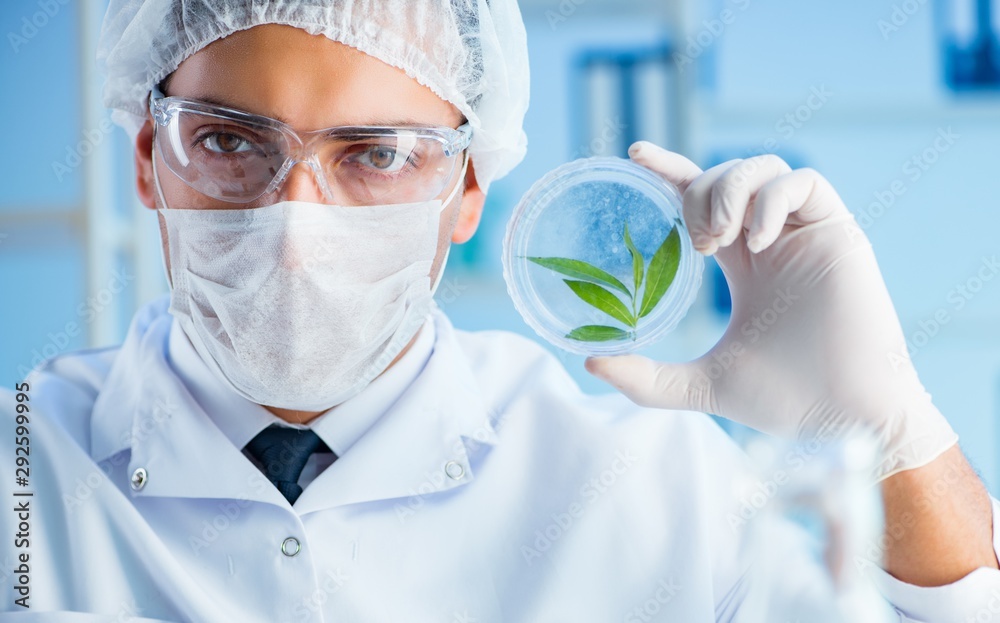 Biotechnology concept with scientist in lab Biotechnology concept with scientist in lab
