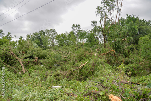 Tornado Storm Damage of Fallen Trees and Debris