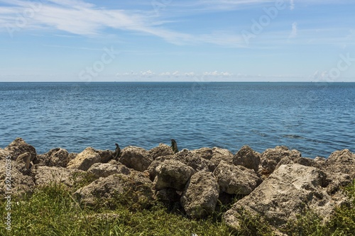 Beautiful nature landscape view. Rocky coast line. Blue water surface of Atlantic ocean merging with blue sky. Key West, Florida. 
