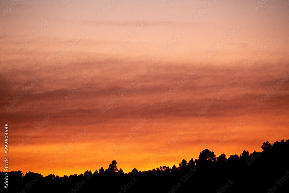 Cloudy sky at sunset over forest