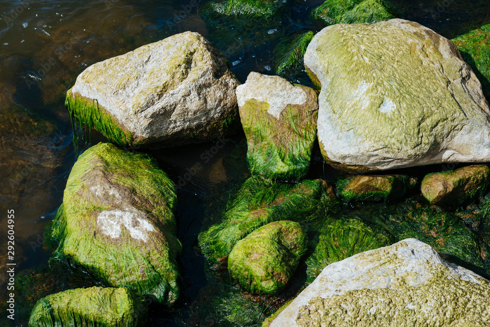 Green Algae rocks in the seaside