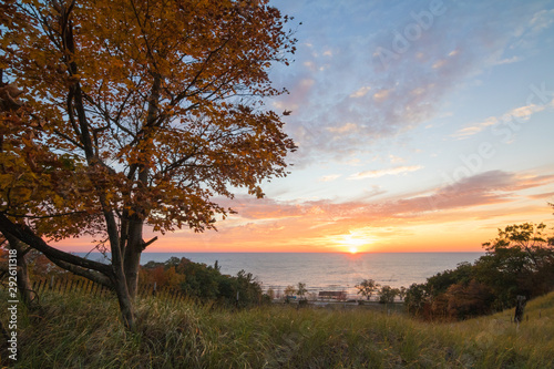 fall tree in sunset by lake