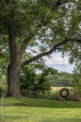 tree in backyard with tire swing  © Walter E Elliott