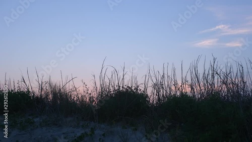 Dune grasses in front of a beautiful sunrise and scenery at Topsail Beach, a vacation community by the Atlantic ocean in North Carolina, USA photo