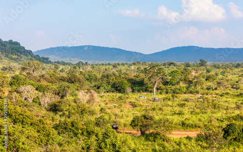 Panorama view of the Minneriya National Park, Sigiriya, Sri Lanka. photo