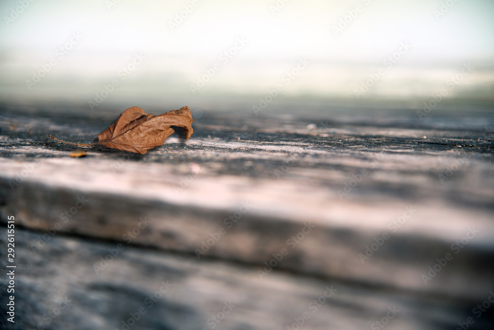 The texture of the old wood, selective focus, blur some part The texture of the old wood, selective focus, blur some part
