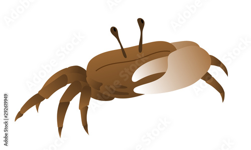 Cute illustration of fiddler crab