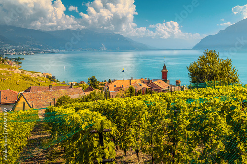 Beautiful vineyards in Lavaux region near Chexbres, Vaud, Switzerland