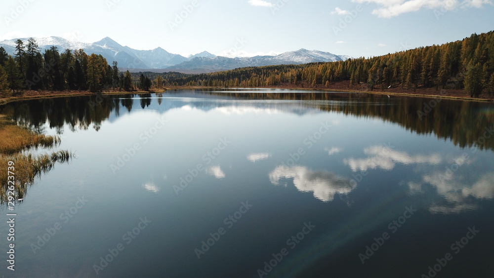 lake in forest