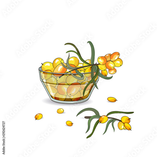 Yellow sea-buckthorn berries in a glass plate and berries on a branch. Vector illustration