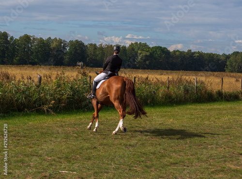 eine Turnierreiterin auf einem Pferd © biggi62