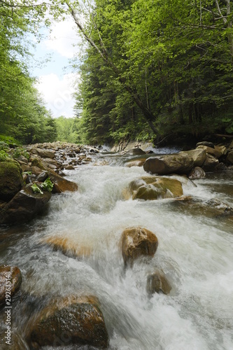 beautiful mountain small river with a strong current in a narrow canyon where there are a lot of stones trees and greenery