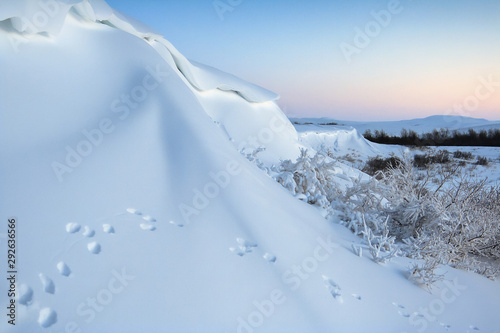 Beautiful winter landscape. Traces of a hare on a snowy slope. Wildlife of Chukotka. Animal tracks in the snow. Morning twilight. Travel and hiking in the Arctic. Chukotka  Siberia  Far East Russia.