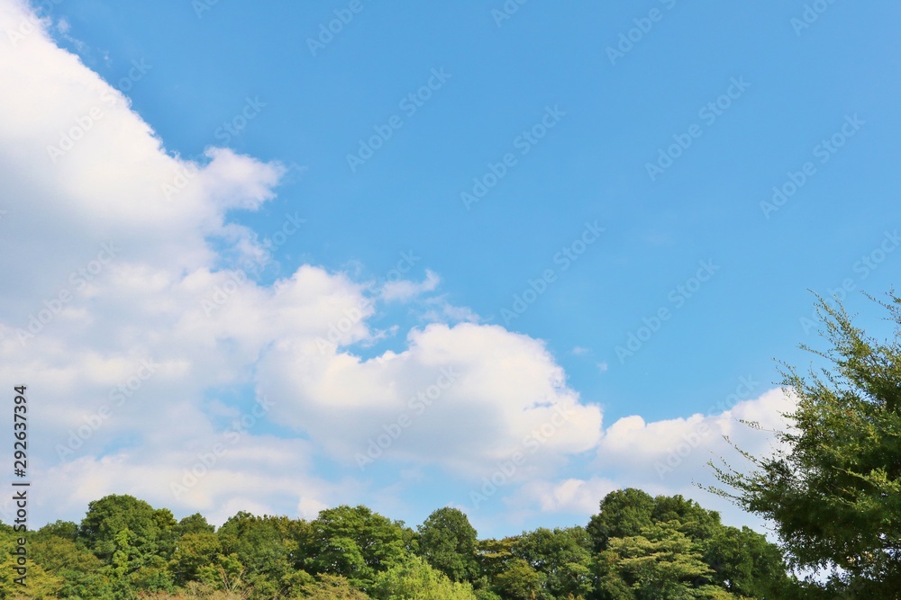 風景　空　秋　緑　杤木　日本