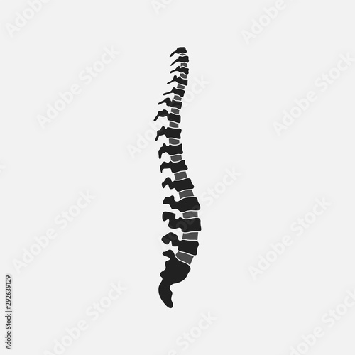 Human spine silhouette isolated on gray background. Vector illustration 