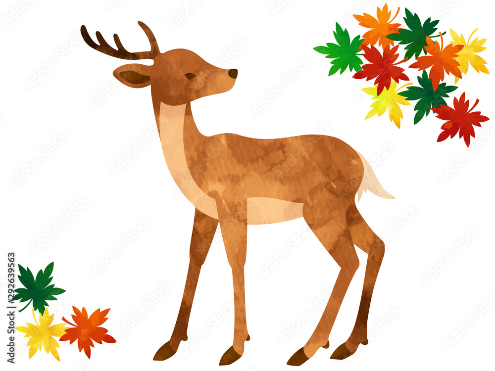 鹿と紅葉の水彩風イラスト Stock Vector Adobe Stock