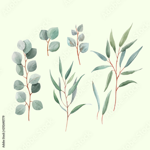Watercolor australian vector leaves
