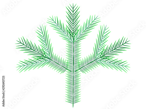 A branch of an evergreen coniferous plant - spruce or pine, for decoration of cards, sites and pages for Christmas and New Year - stock illustration