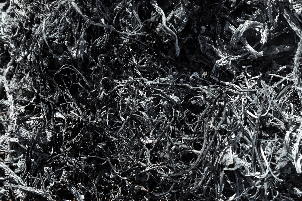 Gray background ashes, burned plants, abstract texture of coals and ashes. Macro shot. Gray background ashes, burned plants, abstract texture of coals and ashes. Macro shot.