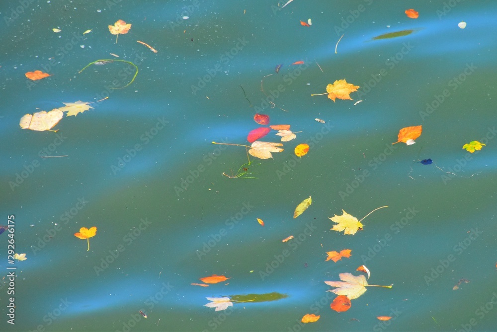 Obraz premium Isar im Herbst