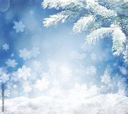 Beautiful snowy winter landscape with a snowy fir branch, snowflakes and blue sky. Winter christmas background.