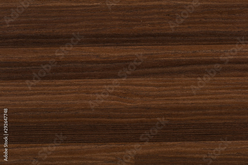 New beautiful veneer background in brown color. High quality texture in extremely high resolution.