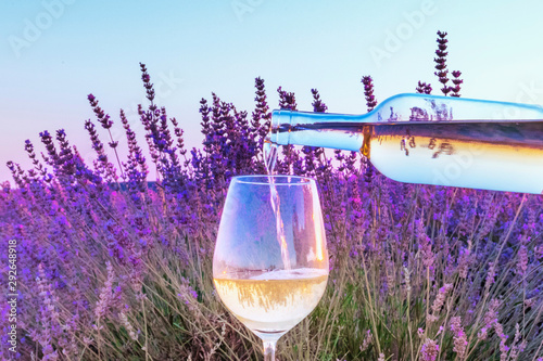Lavender wine. White wine poured into a glass against a lavender field background