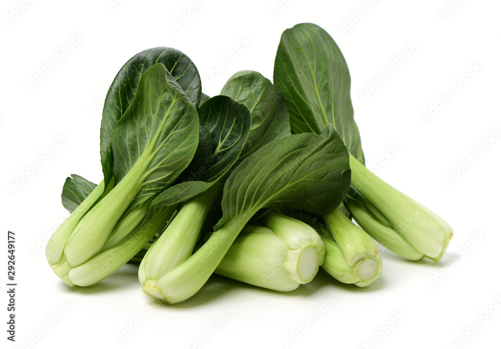 Pok Choi on white background Pok Choi on white background