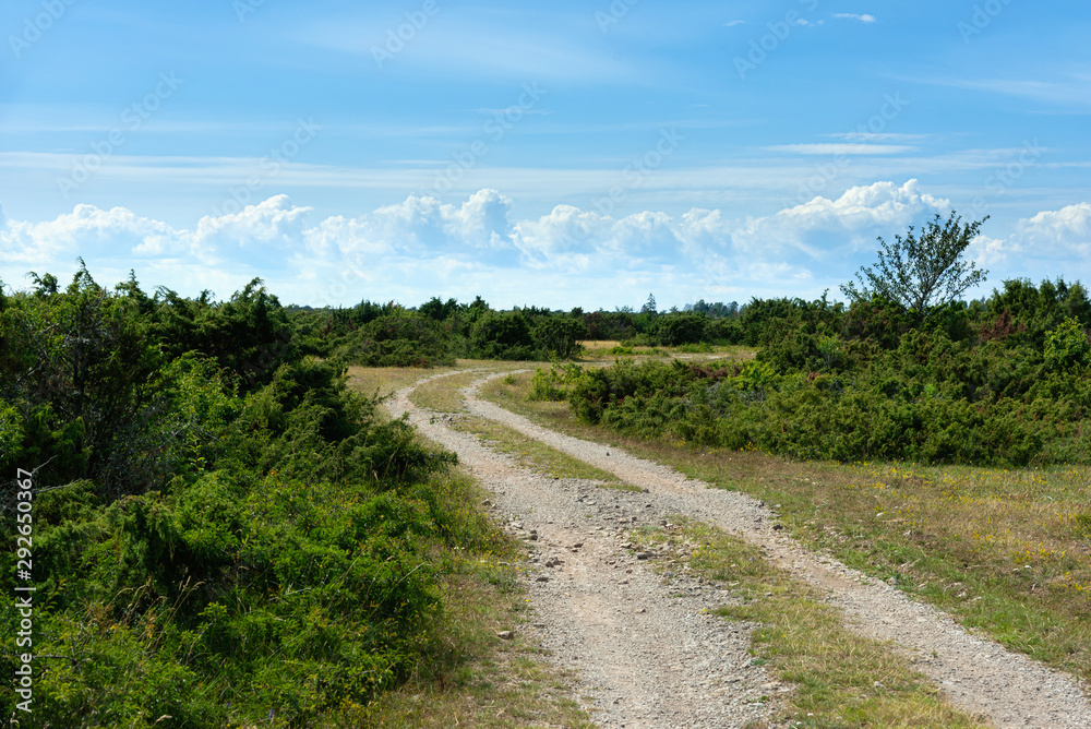 Dirt road on the swedish island Oland. The landscape is characteristic for the south of the island and is a kind of prairie on limestone underground. This landscape is called Stora Alvaret.