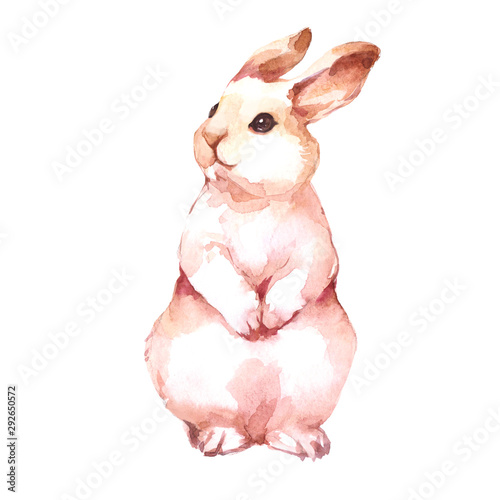 Easter fluffy bunny. Watercolor illustration on white background.