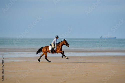 Horse and rider, having fun, galloping on the beach.