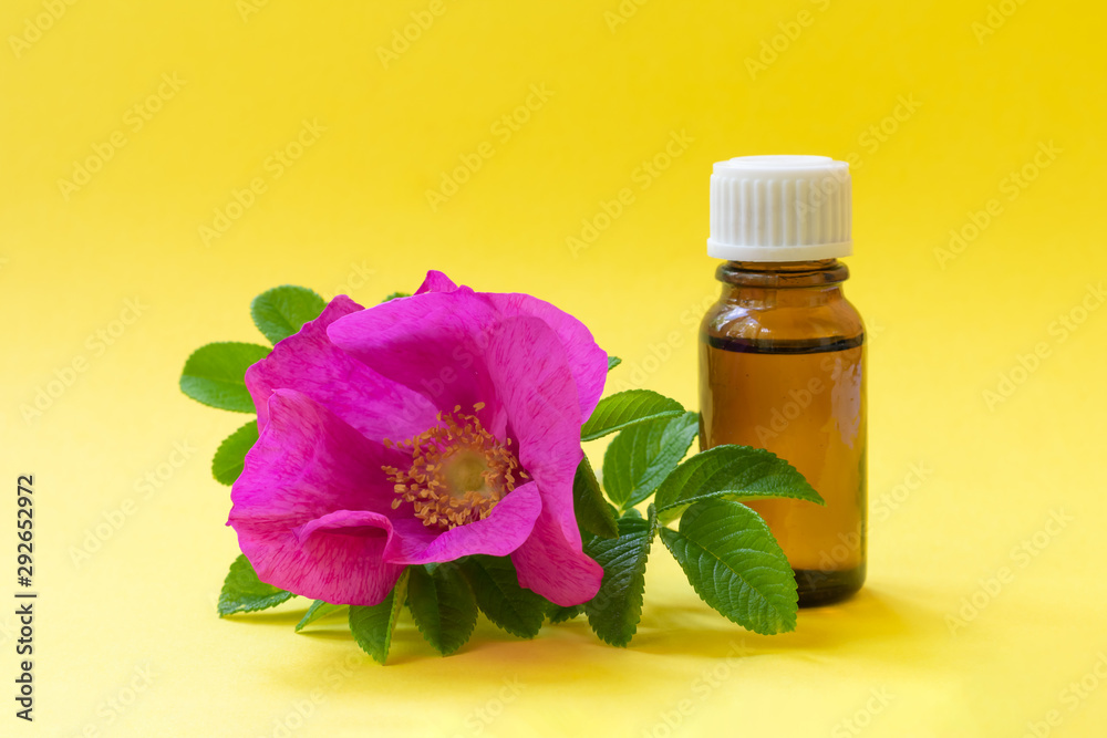 Dark glass bottle with white cap on bright yellow background with dog roses blooming flower and petals. Anti-ageing moisturizing ingredient in cosmetics, source of vitamin E