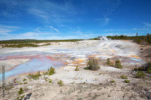 Norris geyser basin