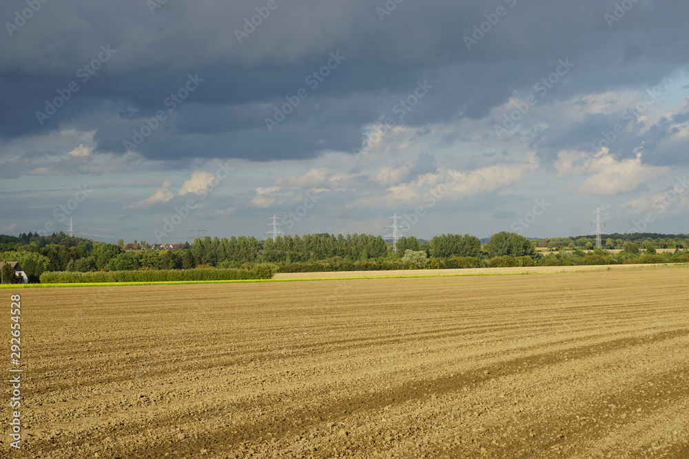 field and blue sky,field, landscape, agriculture, sky, wheat, farm, summer, nature, harvest, rural, countryside, blue, farming, straw, tree, cloud, crop